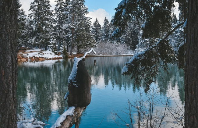 Pool House Mr ek Family Friendly - Photo 59