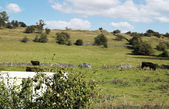 Host Stay The Green - Photo 21