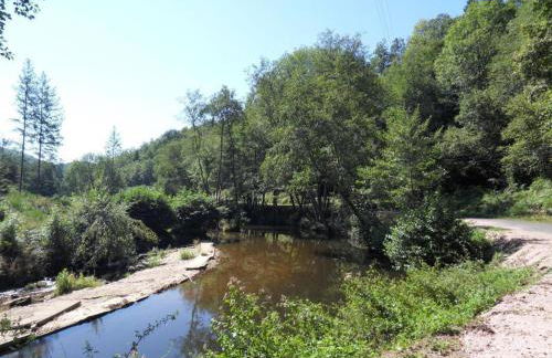 Charmante Grange avec Jardin et Animaux Acceptés - FR-1-489-47 - Foto 6