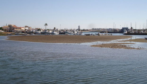 Jardines de isla canela (Punta del moral) - Foto 2