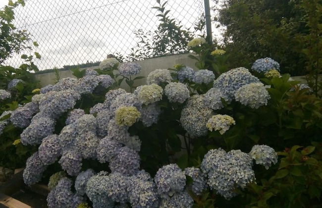 Apartment With 2 Bedrooms in Urqueira, With Wonderful Mountain View, Pool Access, Enclosed Garden - Foto 20