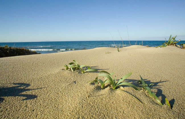 Villa Margherita - Photo 40