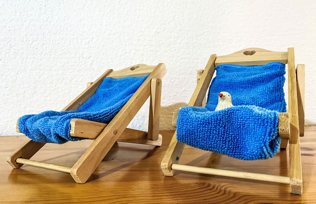 2 bedroom House in Bredene with swimming pool and garden - Photo 23