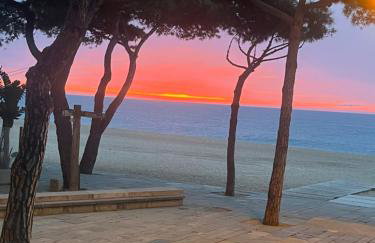 Beachfront Bellavista - Foto 12