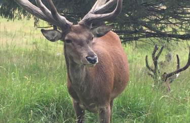 ALTRAVISTA TARZO - Foto 61