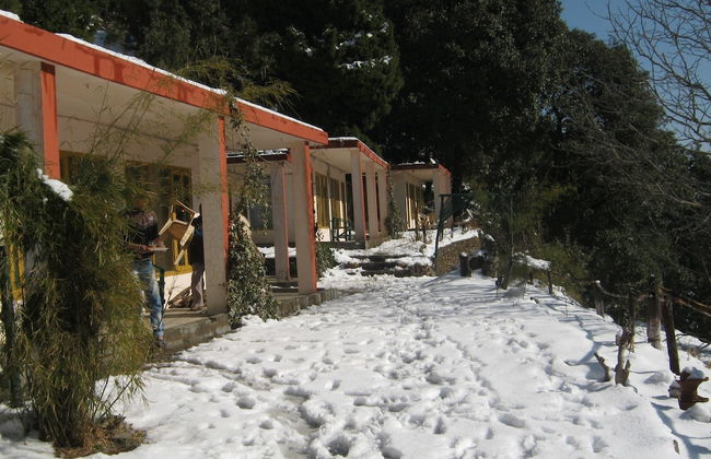 Room-janardan Resort Pangot, Nainital - Foto 8