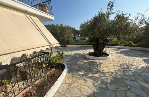 Lily's Guest House - Foto 13