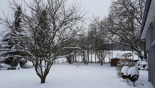 Ferienhaus Schmidt - Foto 4