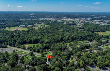 Firefly Garden - Foto 49