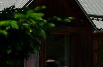 Appartements au Cerf de la Lune - Foto 29