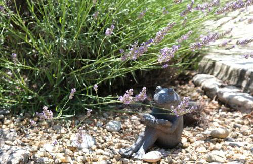 Very pleasant vacation rental with heated pool in the Luberon - Foto 18