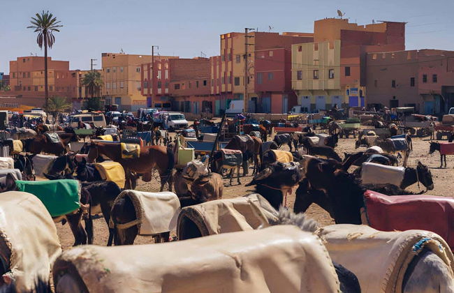 Excursão privada a Risani - Foto 3