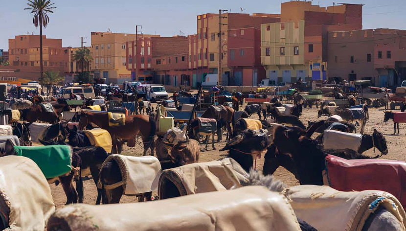 Uma praça repleta de burros em Risani