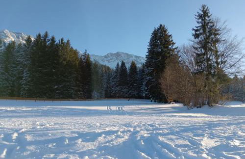 Allgäuer Paradieswinkel - Foto 20