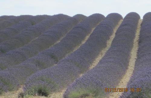 Les heures douces - Foto 28