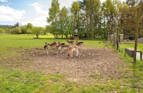 Gästehaus Mühlenhof - Müller-Thurgau - Foto 27