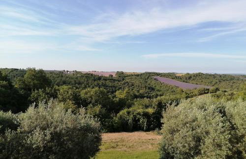 Gîtes Lou Limbert Plateau de Valensole - Foto 16