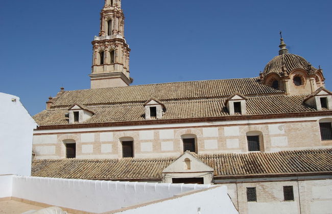 El patio del limonero - Foto 19