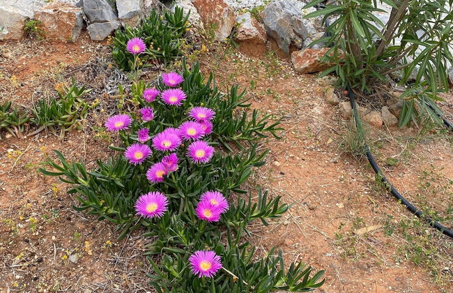 Beautiful Villa Near Sea in Epano Sisi - Foto 26