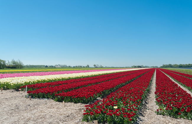 Holiday Home in Quiet Environment near Beach & Dunes - Foto 28