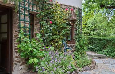 ansimali 1- Gemütliche FeWo mit Küche und Gartenblick in Grünhain-Beierfeld für Tierfreunde und Radliebhaber - Foto 43