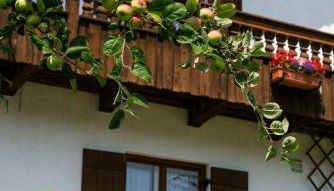 Haus Bergfreund - Foto 3