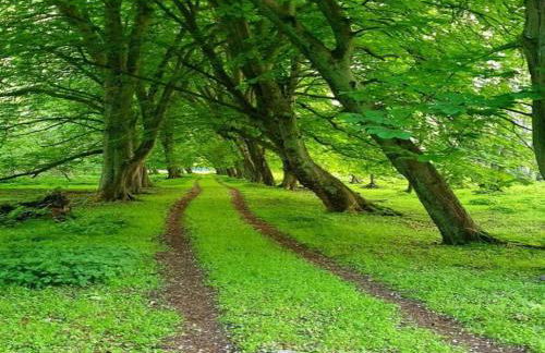 Satow Gartenwohnung - Foto 23