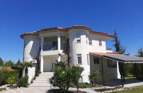 Bright New Garden - Foto 1