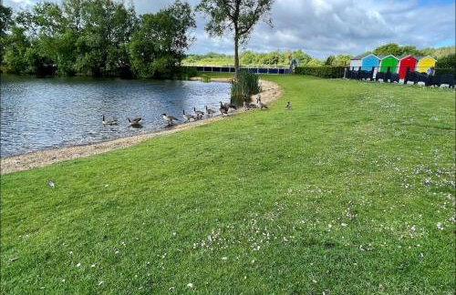 Exquisite Lake lodge in Hoburne Holiday Resort - Valentino Rose Lodge - Foto 13