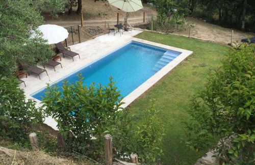 Abejas 1 de El Vergel de Chilla - Foto 37