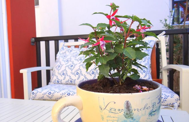 Hotel Aeollos - Photo 38