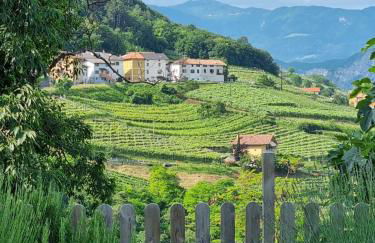 cottage lavanda e rosmarino - Foto 15