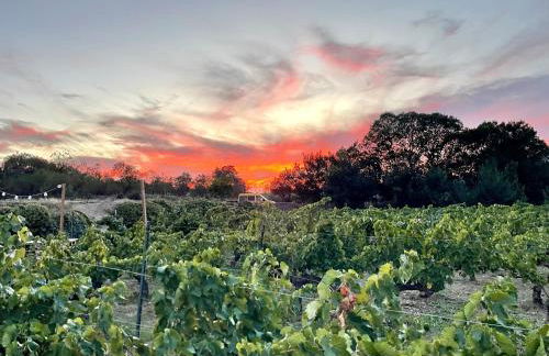 La casita del pueblo - Foto 30