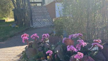 Bonnys Ferienwohnung - Foto 3