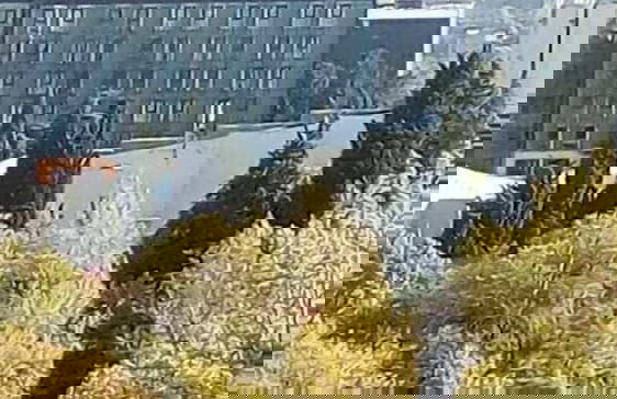 Apartments in front of the Park - Foto 15