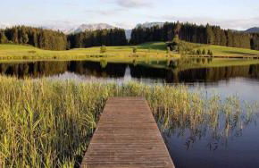 Veiter-Hof - Foto 44