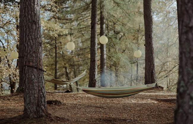 The Dell of Abernethy - Photo 66