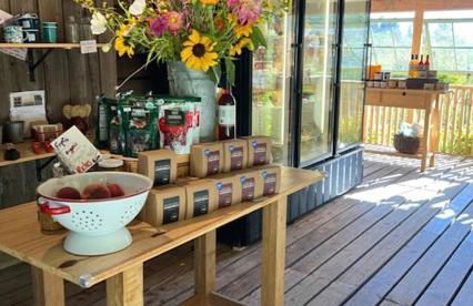 Driftwood Dreams - Foto 66