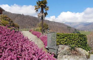 La Betulla - Foto 26