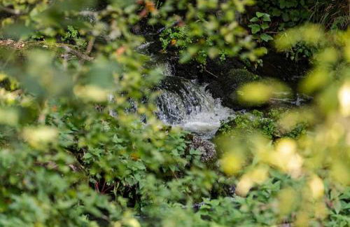 Holiday Apartment Forsthaus Heilsberg - Foto 61