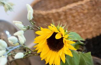 Weingarten 1897 - Foto 9