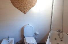 Coimbra's Black & Gold - Foto 2