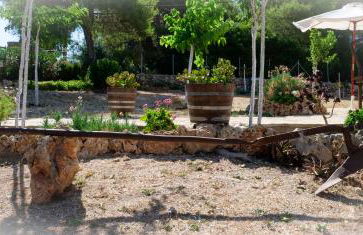 Fterini Apartments Sterna & Alletri - Foto 19