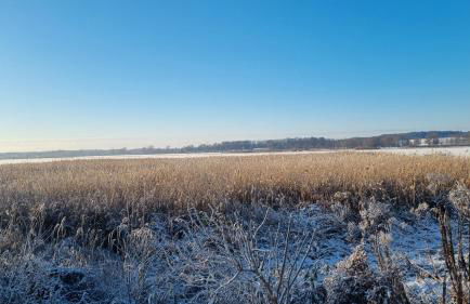 Fewo Usedom Peene Idyll - Foto 35