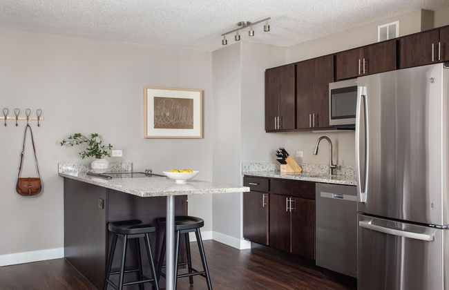 Kasa Magnificent Mile Chicago - Foto 37