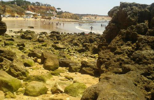 Casa da Praia - Foto 45