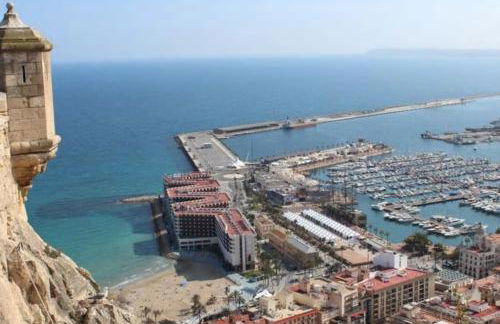 Flamenco I - Photo 30