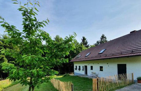 Ferienhaus am Dachsberg, Bayerischer Wald - Foto 7