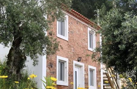 Canto do Zêzere, Sertã, Dornes, Castelo do Bode - Foto 28