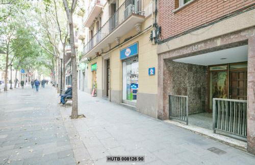 Alcam Rogent - Photo 15